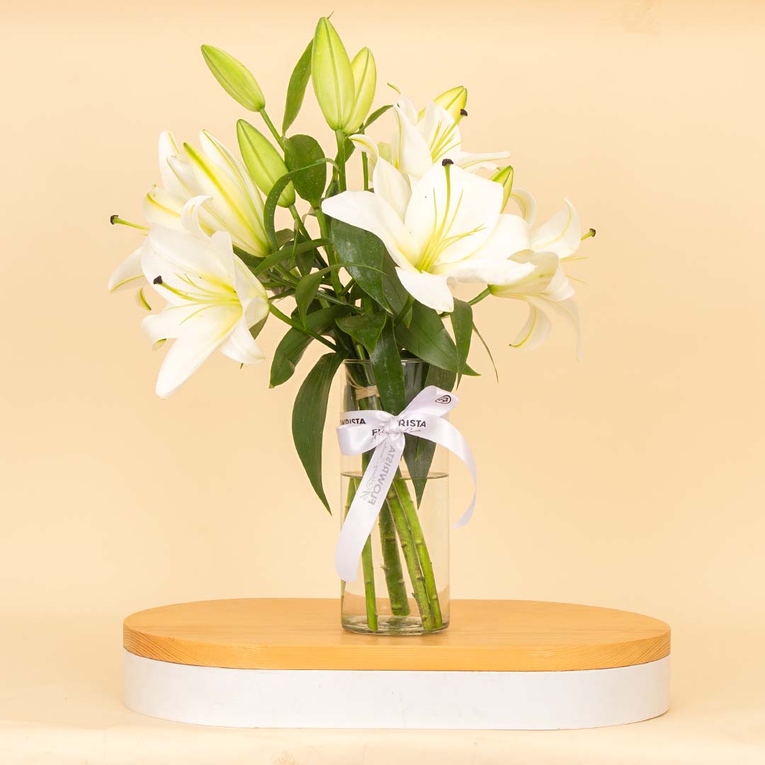 product-image-مزهرية زنبق بيضاء أنيقة